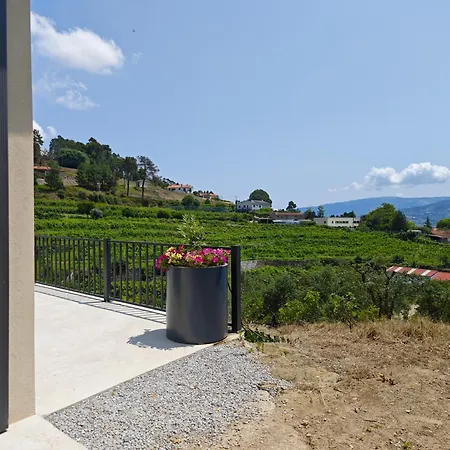 Casa Da Milinha - Villa With A Pool Near Rio Douro Santa Cruz do Douro Exterior photo